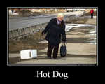 Демотиватор Hot Dog 