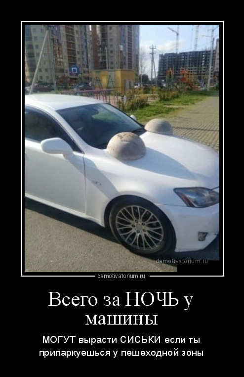Моет машину сиськами