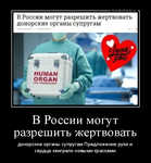 Демотиватор В России могут разрешить жертвовать донорские органы супругам Предложение руки и сердца заиграло новыми красками