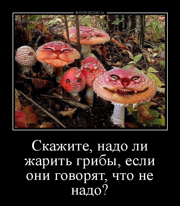 говорящие грибы