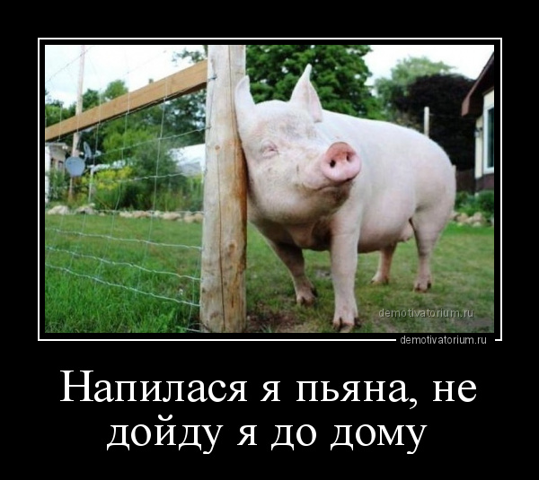 Демотиватор Напилася Я Пьяна, Не Дойду Я До Дому