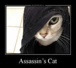 Демотиватор Assassin’s Cat  - 2020-8-18