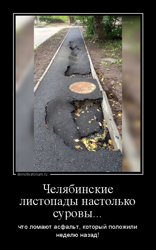 демотиватор Челябинские листопады настолько суровы... что ломают асфальт, который положили неделю назад! - 2020-8-24