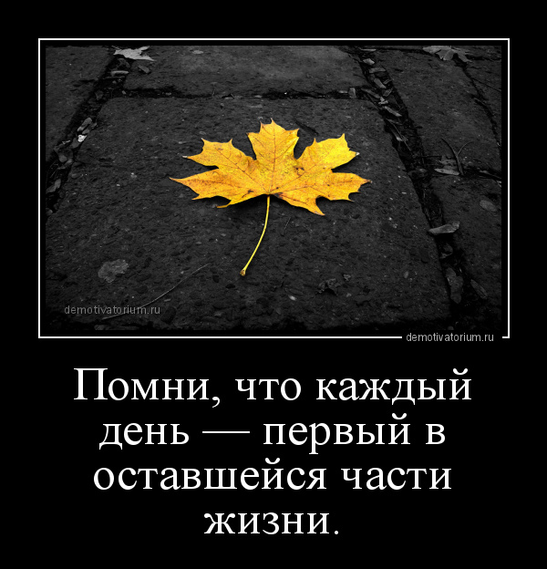 Если кажется, что все идет наперекосяк, просто вспомните об этих 8 вещах. Полегчает.