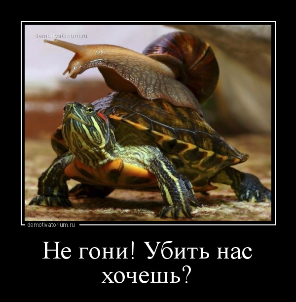 демотиватор Не гони! Убить нас хочешь?  - 2020-10-14
