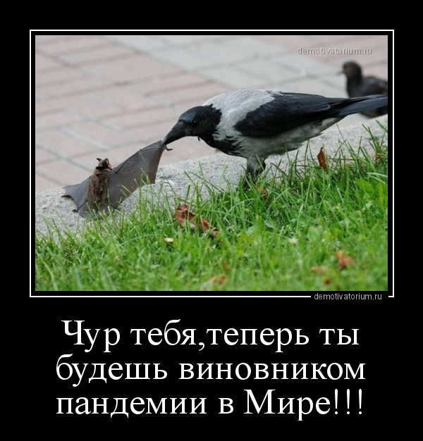 демотиватор Чур тебя,теперь ты будешь виновником пандемии в Мире!!!  - 2020-10-23