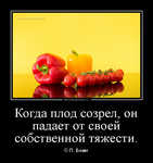 Демотиватор Когда плод созрел, он падает от своей собственной тяжести. © П. Бови
