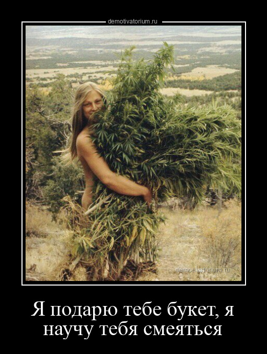 я подарю тебе цветок и научу смеяться. тебе букетик. букет цветов стихи красивые. нарви букет. научу тебя смеяться.