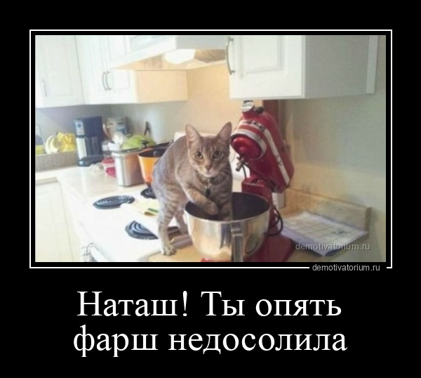 демотиватор Наташ! Ты опять фарш недосолила  - 2021-9-15