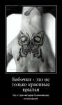 Демотиватор Бабочки - это не только красивые крылья Но и три-четыре психических отклонений