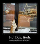 Демотиватор Hot Dog, fresh. Глазами Корейского обывателя...