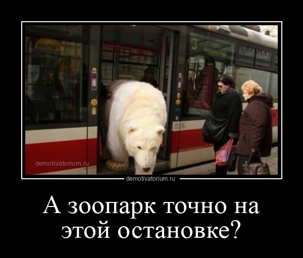 демотиватор А зоопарк точно на этой остановке?  - 2022-3-23