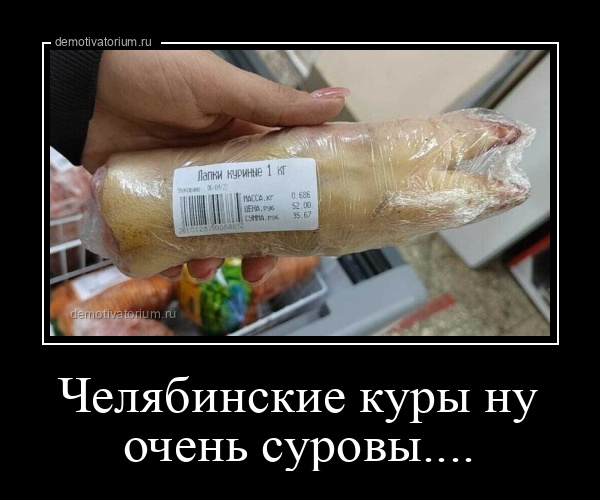 демотиватор Челябинские куры ну очень суровы....  - 2022-4-07