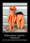 Демотиватор Морковины страсти - мордасти ВОТ ТАК ВОТ РАЗМНОЖАЕТСЯ МОРКОВКА