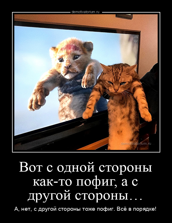 Демотиватор Вот с одной стороны как-то пофиг, а с другой стороны&amp;hellip; А, нет, с  другой стороны тоже пофиг. Всё в порядке!