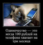 Демотиватор Одиночество — это когда 100 рублей на телефоне хватает на три месяца 