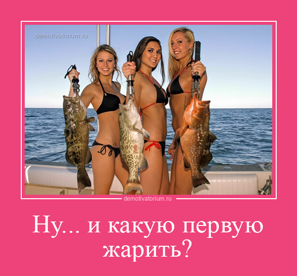 Демотиватор Ну... и какую первую жарить?