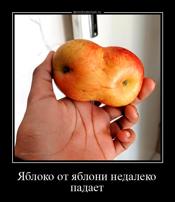 Яблоня от яблони далеко не падает. Яблоко демотиватор. Яблоко от яблони недалеко Мем. Яблоко от яблони недалеко падает. Яблоко от яблони недалеко падает смысл.