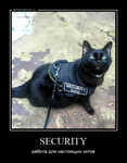 Демотиватор SECURITY работа для настоящих котов