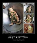 Демотиватор «Суп с котом»  пошаговый рецепт - 2023-2-20