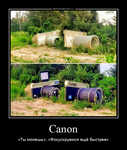 Демотиватор Canon «Ты можешь», «Фокусируемся ещё быстрее» - 2023-5-18