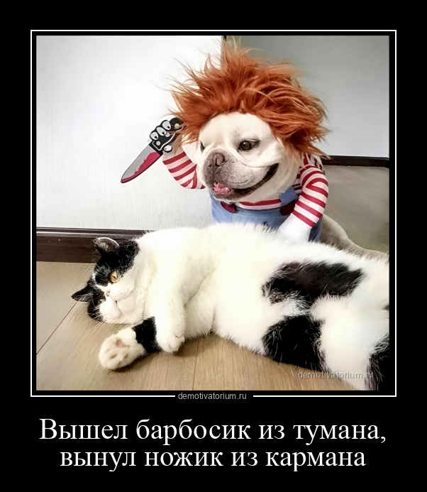 Вышел ёжик из тумана. Вышел месяц из тумана вынул ножик из кармана буду резать буду бить. Тумана вынул ножик из кармана. Стишок вышел ежик из тумана вынул ножик из кармана. Считалочка про ежика в тумане.