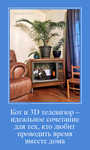 Демотиватор Кот и 3D телевизор – идеальное сочетание для тех, кто любит проводить время вместе дома  - 2023-6-17