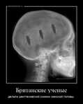 Демотиватор Британские ученые делали рентгеновский снимок женской головы. - 2023-9-12