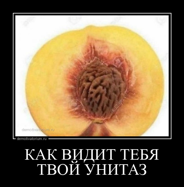 демотиватор КАК ВИДИТ ТЕБЯ ТВОЙ УНИТАЗ  - 2023-11-09