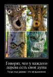 Демотиватор Говорят, что у каждого дерева есть своя душа Тогда лицо дерева – это её выражение - 2024-3-24