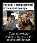Демотиватор «Судя по морде русского кота это он и устроил пожар »