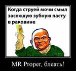 Демотиватор MR Proper, блеать!  - 2024-5-27