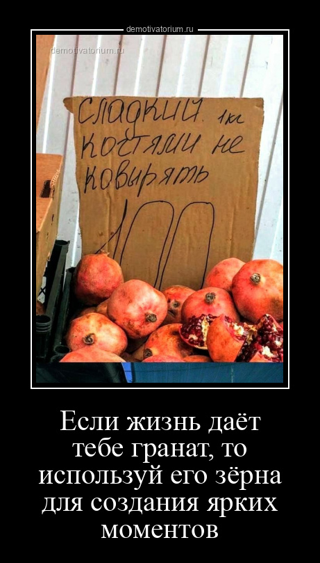 демотиватор Если жизнь даёт тебе гранат, то используй его зёрна для создания ярких моментов  - 2024-6-06