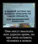 Демотиватор Они могут высосать всю дурную кровь, но при этом оставить человека в живых  - 2024-6-10