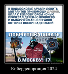 Демотиватор Кибердепортация 2024 