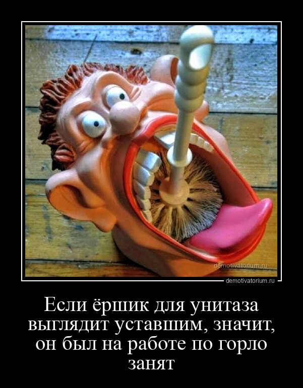демотиватор Если ёршик для унитаза выглядит уставшим, значит, он был на работе по горло занят  - 2024-7-08
