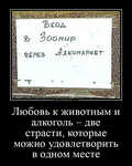 Демотиватор Любовь к животным и алкоголь – две страсти, которые можно удовлетворить в одном месте  - 2024-8-15