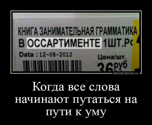 демотиватор Когда все слова начинают путаться на пути к уму  - 2024-9-01