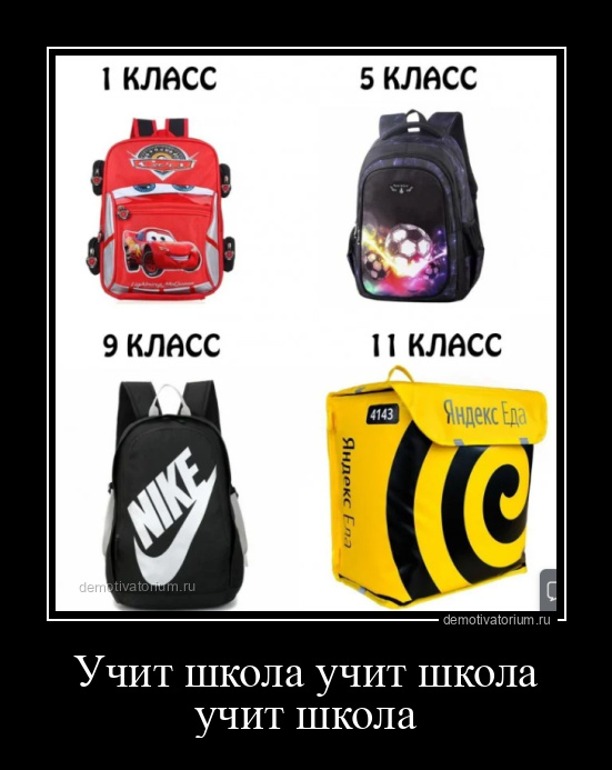 Демотиватор Учит школа учит школа учит школа  - 2024-9-27