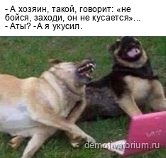 демотиватор - А хозяин, такой, говорит: «не бойся, заходи, он не кусается»... - Аты? -А я укусил.  - 2024-11-22