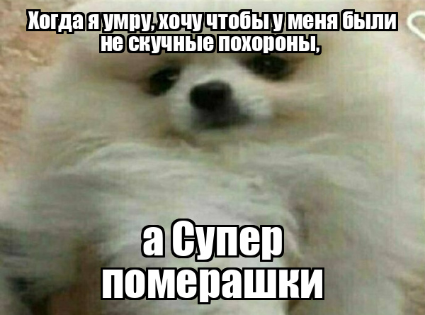демотиватор Хогда я умру, хочу чтобы у меня были не скучные похороны,  а Супер померашки - 2024-11-20