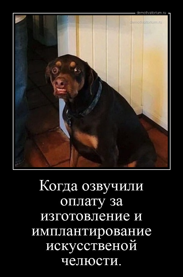демотиватор Когда озвучили оплату за изготовление и имплантирование искусственой челюсти.  - 2024-12-17