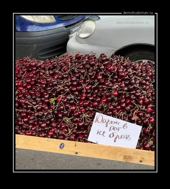 Демотиватор   - 2025-7-23