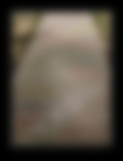 Демотиватор   - 2025-7-25