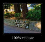 Демотиватор 100% тайник  - 2025-8-02