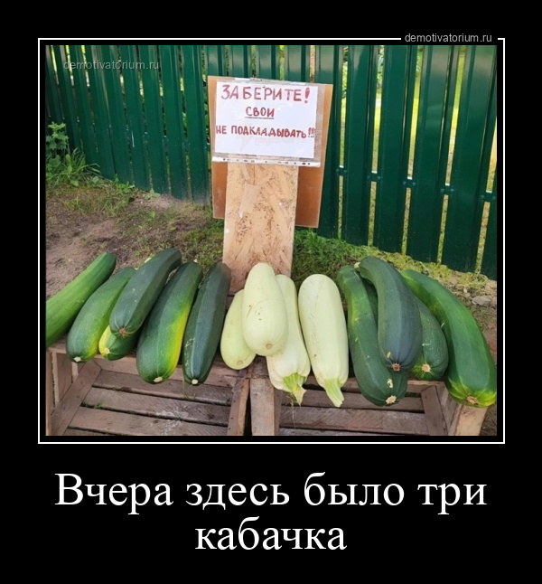 Демотиватор Вчера здесь было три кабачка  - 2025-8-12