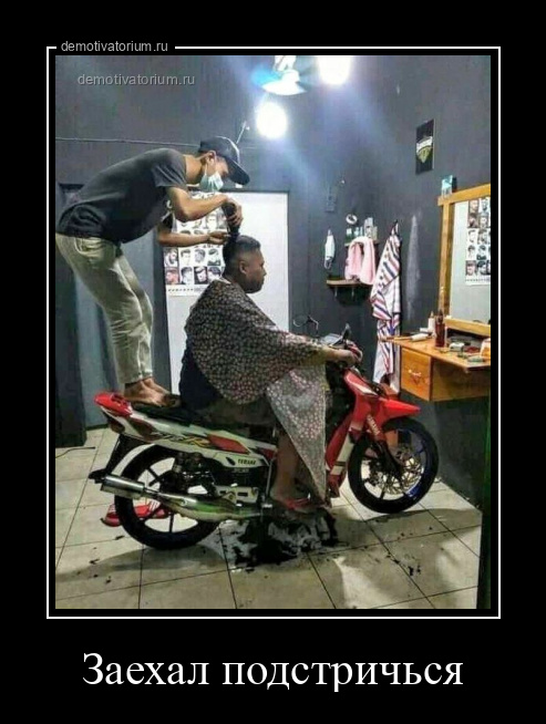 Демотиватор Заехал подстричься  - 2025-8-26
