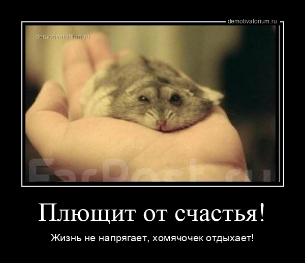 Демотиватор Плющит от счастья! Жизнь не напрягает, хомячочек отдыхает! - 2025-11-30