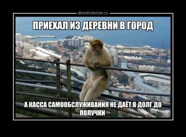 Демотиватор   - 2026-2-09